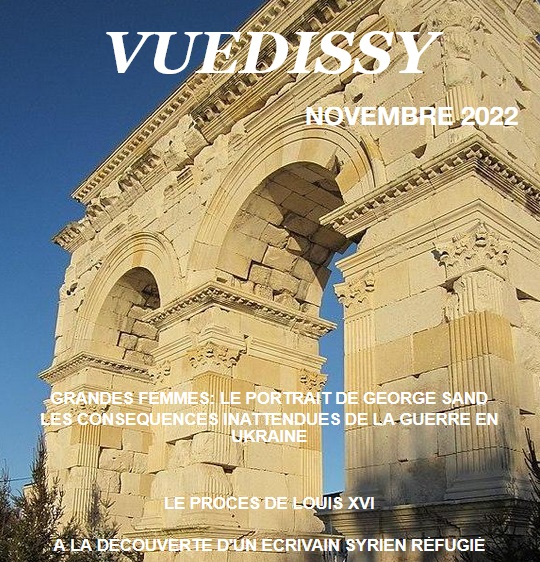 vuedissy3